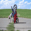 Avatar-animado-Humor-60.gif