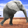 Avatar-animado-Humor-68.gif