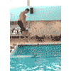 Avatar-animado-Humor-85.gif