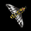 Avatar-animado-Insecto-01.gif