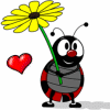 Avatar-animado-Insecto-04.gif