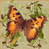 Avatar-animado-Insecto-100.gif