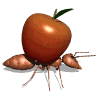 Avatar-animado-Insecto-101.gif