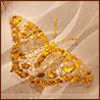 Avatar-animado-Insecto-102.gif