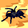 Avatar-animado-Insecto-114.gif
