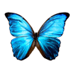 Avatar-animado-Insecto-123.gif