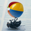 Avatar-animado-Insecto-128.gif