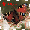 Avatar-animado-Insecto-134.gif