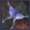 Avatar-animado-Insecto-136.gif