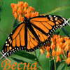 Avatar-animado-Insecto-140.gif
