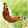Avatar-animado-Insecto-152.gif