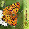 Avatar-animado-Insecto-155.gif