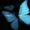 Avatar-animado-Insecto-160.gif