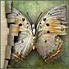 Avatar-animado-Insecto-162.gif