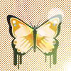 Avatar-animado-Insecto-165.gif