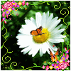 Avatar-animado-Insecto-171.gif