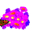 Avatar-animado-Insecto-174.gif