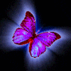 Avatar-animado-Insecto-175.gif