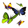 Avatar-animado-Insecto-180.gif