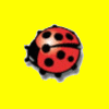 Avatar-animado-Insecto-19.gif