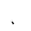 Avatar-animado-Insecto-20.gif
