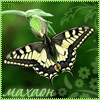 Avatar-animado-Insecto-27.gif
