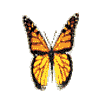 Avatar-animado-Insecto-45.gif