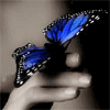 Avatar-animado-Insecto-48.gif