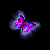 Avatar-animado-Insecto-54.gif