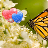 Avatar-animado-Insecto-56.gif