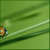Avatar-animado-Insecto-57.gif