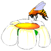 Avatar-animado-Insecto-59.gif
