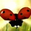 Avatar-animado-Insecto-63.gif