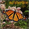 Avatar-animado-Insecto-78.gif