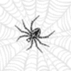Avatar-animado-Insecto-84.gif