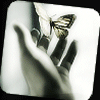 Avatar-animado-Insecto-85.gif
