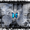 Avatar-animado-Insecto-88.gif