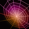 Avatar-animado-Insecto-89.gif
