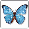 Avatar-animado-Insecto-93.gif