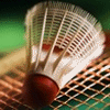 Avatar-animado-Juego-43.gif