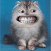 Avatar-animado-Monstruo-17.gif