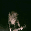 Avatar-animado-Musica-303.gif