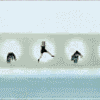 Avatar-animado-Musica-342.gif