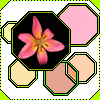 Avatar-animado-Naturaleza-09.gif