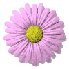 Avatar-animado-Naturaleza-101.gif