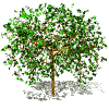 Avatar-animado-Naturaleza-104.gif