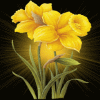 Avatar-animado-Naturaleza-107.gif