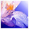 Avatar-animado-Naturaleza-110.gif