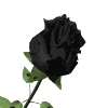 Avatar-animado-Naturaleza-113.gif