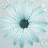 Avatar-animado-Naturaleza-115.gif